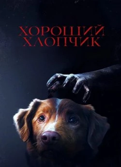 Хороший хлопчик